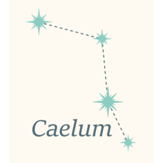CaelumWoodworks | Shopier