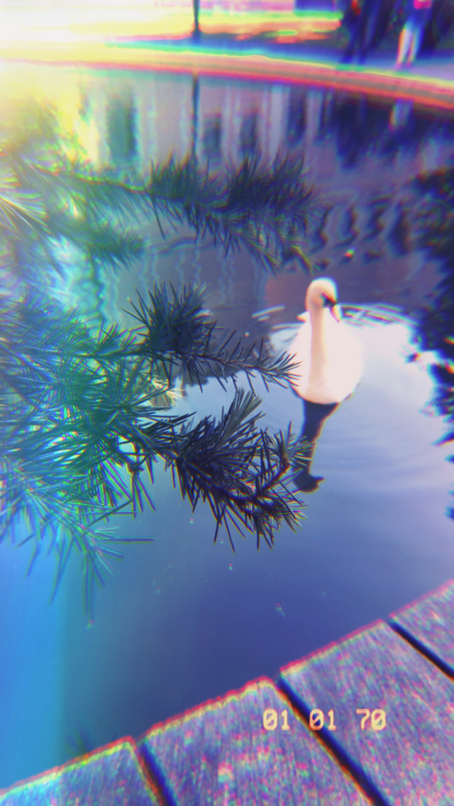 About Image