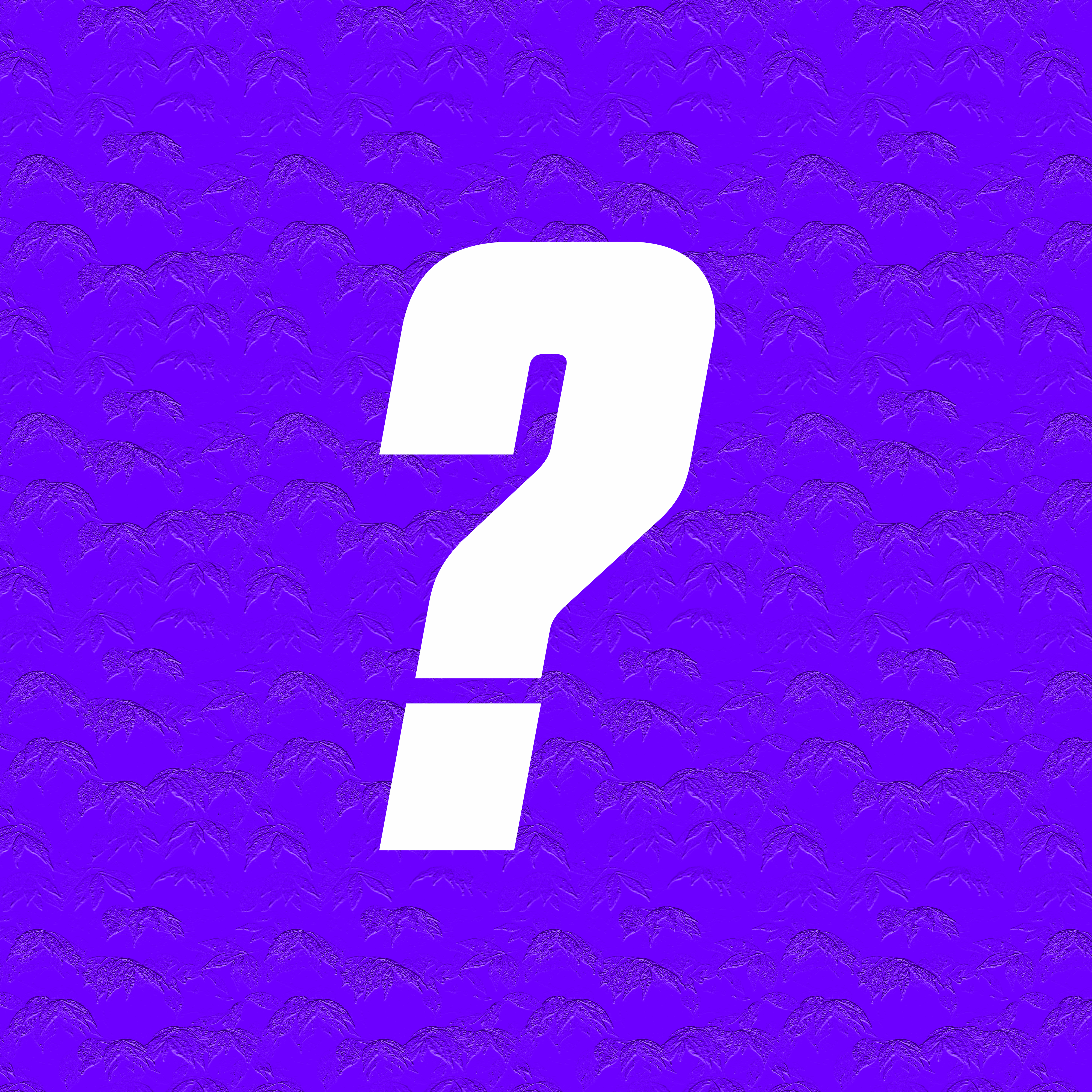 About Image
